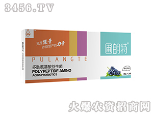 ��������-���İ�����������-������