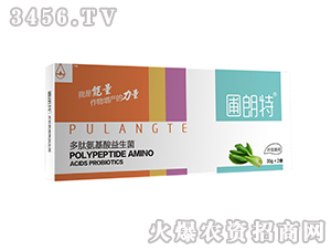 �~��ͨ��-���İ�����������-������