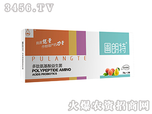 ����(sh��)����-���İ�����������-������