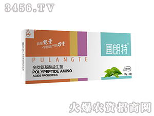 ��ɣ����-���İ�����������-������