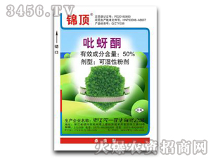 50%����ͪ-�\�-��һ