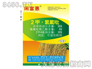 36%2�ס��ȷ���-�e����-��һ