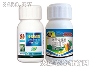 ���ס��׾���-Ǫ�ݰ�¶-�G�µ�