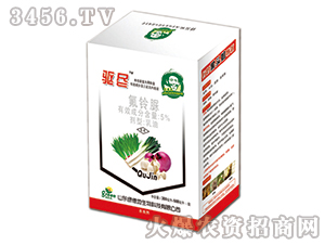 5%���������-�(q��)�M1+1-�G�µ�