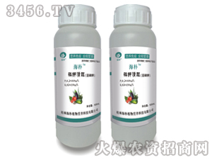 �������-����