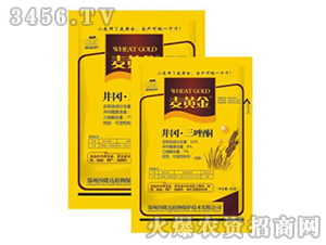 ����������ͪ?d��)����?���S��-ɳ¡�_(d��)