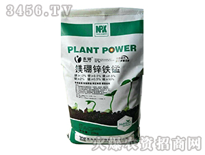 �V���\�F�i-���P����