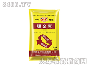 ����أ����򵪷��ͣ�-����-�A�л���