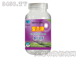 �������w-�ۺ��-�֠���(y��u) 