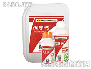 ���Ժ����������}-��(y��u)���}-����̩��