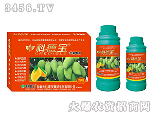 â�����àI�B(y��ng)���a(ch��n)�{(di��o)�턩-�Ƶ�