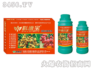 ��֦�����ی��àI�B(y��ng)���a(ch��n)�{(di��o)�턩-�Ƶ�