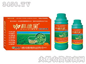 �����󶹌��àI�B(y��ng)���a(ch��n)�{(di��o)�턩-�Ƶ�