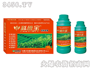 ��䌣�àI�B(y��ng)���a(ch��n)�{(di��o)�턩-�Ƶ�