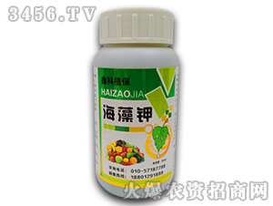 �����-�ο�ֲ��