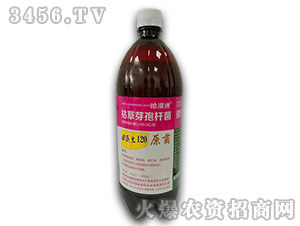 �ݲ�ѿ�ߗU��-���t(y��)��120-������