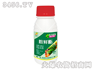 ���r��-���SԴ-����