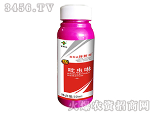 ���x����N��-����S-�����_