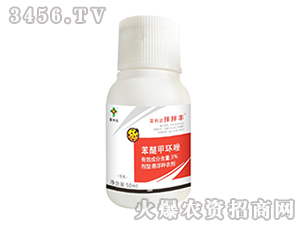 ���Ѽ׭h(hu��n)���N��-����S-�����_