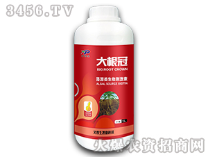 ��Դ�����̼���-�����-������