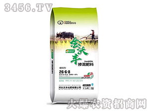 ����͓������26-6-8-�����S