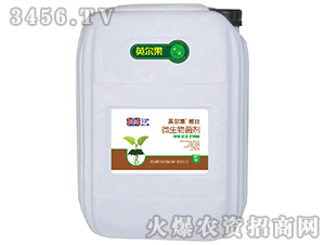 20kg΢�������-����-Ӣ����