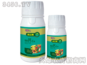 �Ǵ��}-Ӣ����