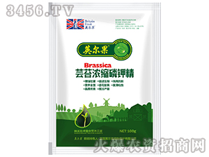 100g�|̦��s��⛾�-Ӣ����