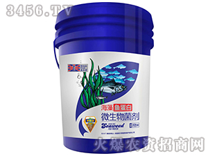 �B(y��ng)����΢�������-�����~(y��)����-Ӣ����