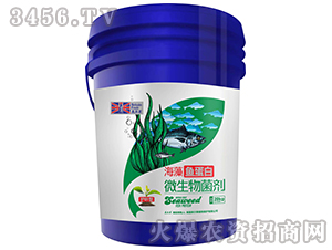 �o(h��)�~��΢�������-�����~(y��)����-Ӣ����