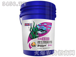 �����΢�������-�����~(y��)����-Ӣ����