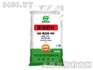 �������19-19-19-���r���S-���S