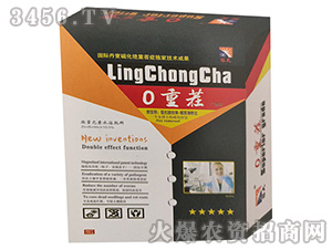 0�ز�-ِ������