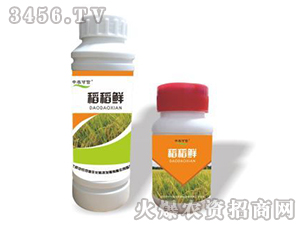 �����r-���r(n��ng)����