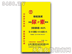 ��������ԭ��-������