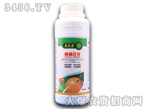 ���ٿ��L-Ӣ����