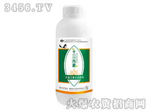 ����Ԫ��ˮ�ܷ�-ʮ��Ԫ��-���� 