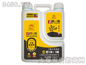 ����Ԫ�صι��170-170-170+TE-�ķ�1�w+1ø-����