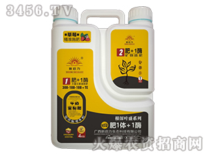 ����Ԫ�صι��300-100-100+TE-�ķ�1�w+1ø-����