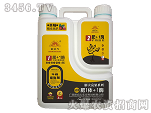 ����Ԫ�صι��100-100-300+TE-�ķ�1�w+1ø-����