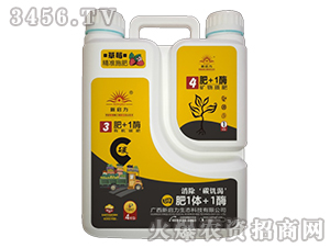 �ЙC(j��)̼��-����һø-����