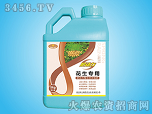 �����������ϑB(t��i)�_ʩ��-�ʄ���-ꖹⴺ��