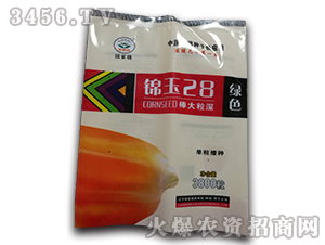 ���A909-���׷N��-��ɷN�I(y��) 