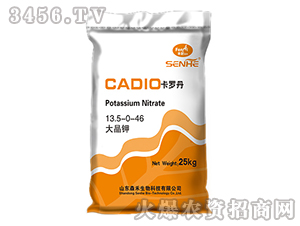 ���13.5-0-46-���_��-ɭ��