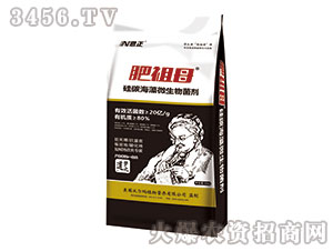 ��̼����΢�������-����ĸ-�����r�I(y��)