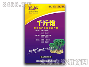 ǧ������߮a(ch��n)�ײ�-�̸�-�ɭ