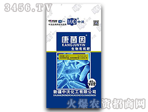 �����ЙC(j��)��-������-����