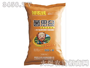 ΢�������-��˼��-���r(n��ng)��