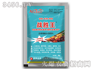 40g����ֲ��ˮ�ܷ���-��(zh��n)����-�����r(n��ng)��
