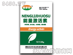 �����������߲ˌ�(zhu��n)��-�Ҷ���-����S